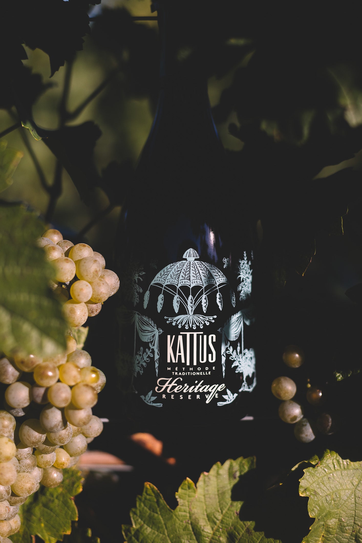Heritage Reserve Extra Brut in Weintrauben - Kattus