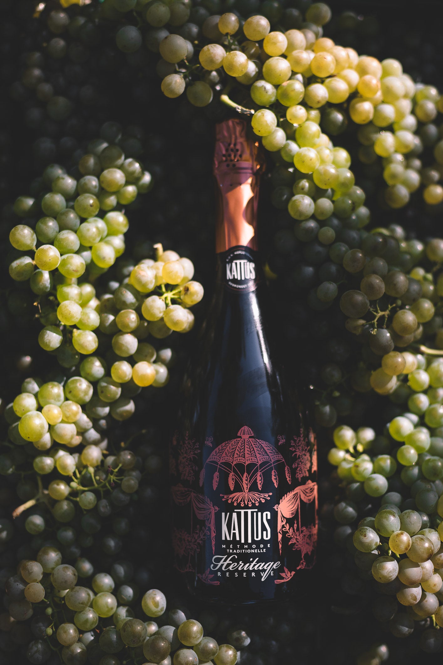 Heritage Reserve Rosé Extra Brut in Weintrauben - Kattus